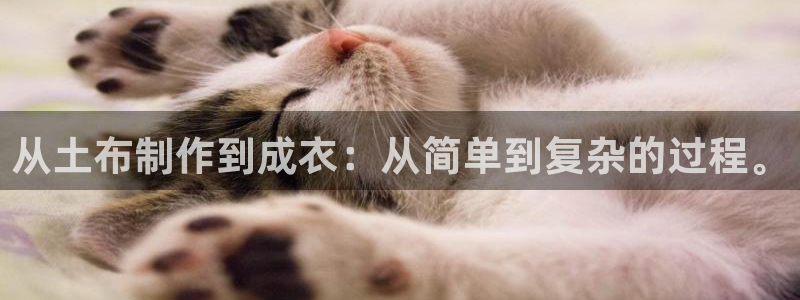 利记体育在线官网
