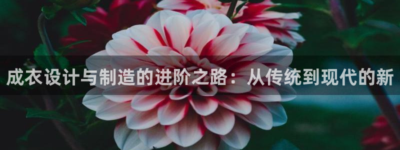 利记 官网