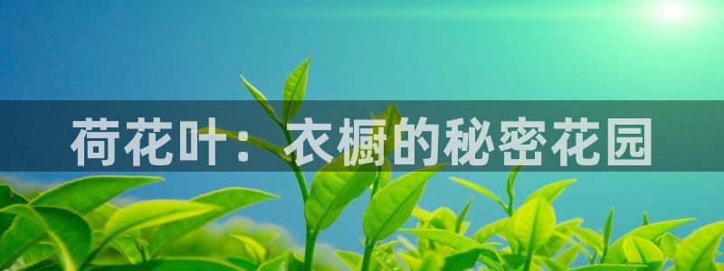 利记国际有限公司官网