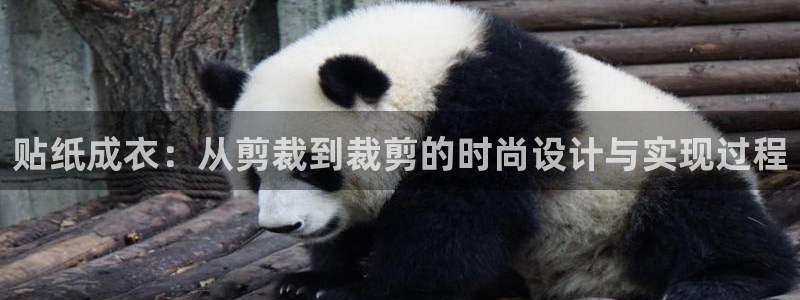 利记体育app官网