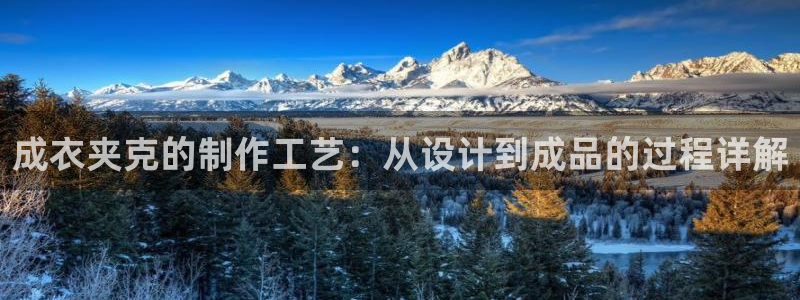 利记 官网
