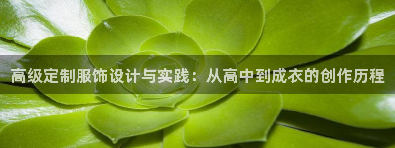 利记足球官网