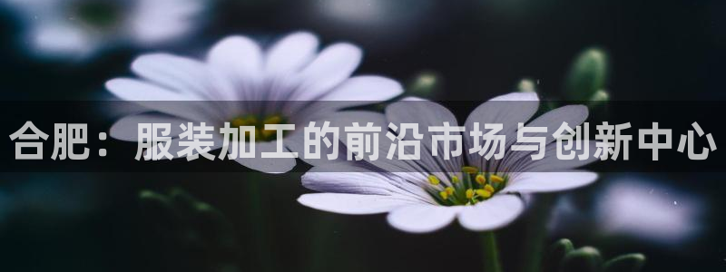 利记官网会员登录