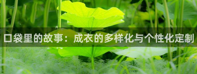 利记官网行业领导者