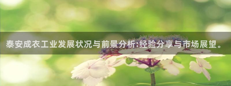 利记官网行业领导者