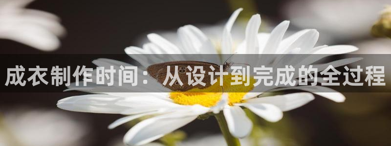 利记彩票平台官网