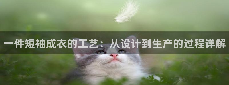 利记官网是多少