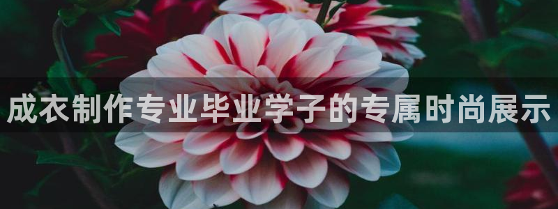 万利记唯一官网