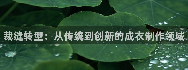 利记官网平台入口