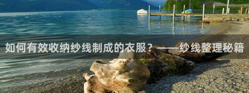 利记app官网真人游戏