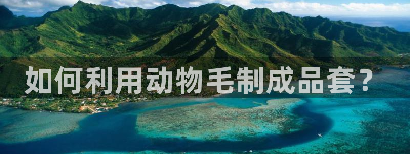 利记厨具官网售后