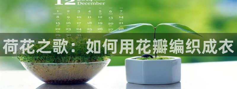 利记彩票官网网址官网hd71