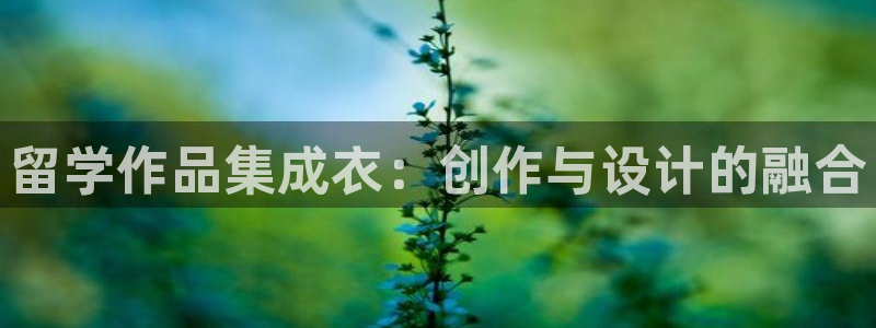 利记官网app下载网址