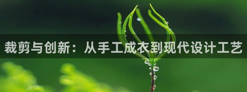 利记官网香菜1