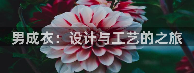 利记坊平台唯一官网