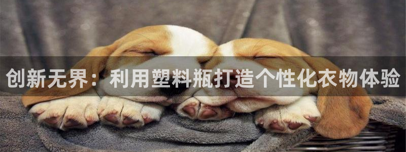 香港利记集团官网地址