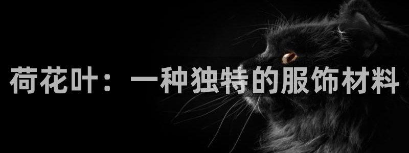 利记坊官网注册账号申请