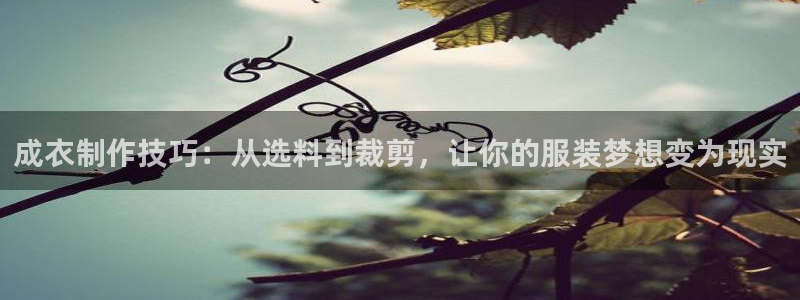 香港利记集团官网旗舰店